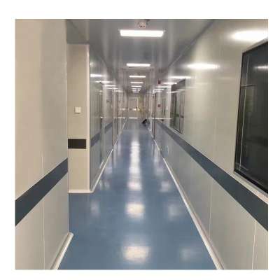 Customized Professional Clean Room Cleanroom Project  With Door Window